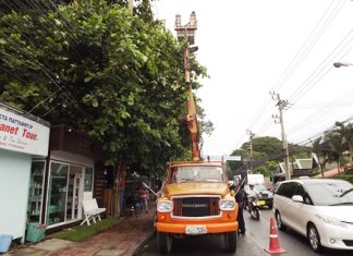 PEA workers trim trees that could break wires during windy conditions along Central and Second roads.